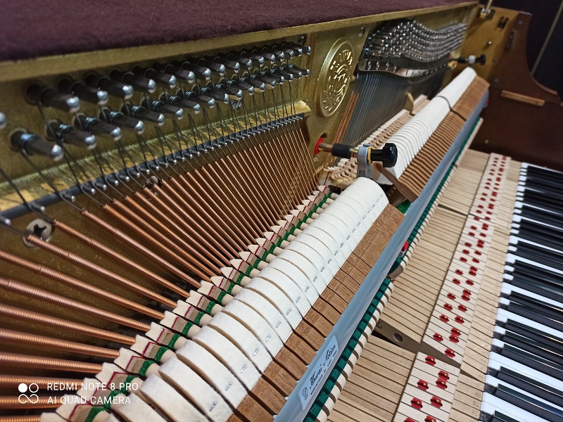 原裝KAWAI KL-51KF 5