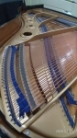 KAWAI KG-3D