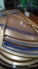 KAWAI KG-3D