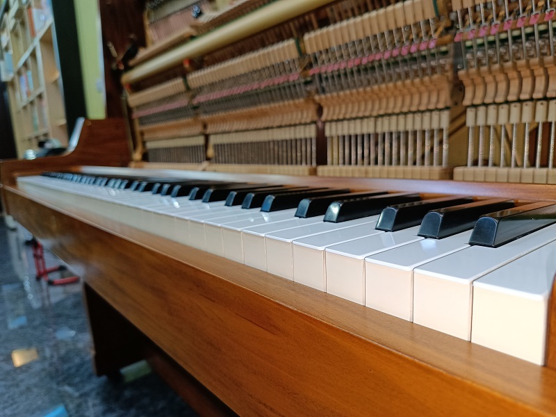 日本原裝YAMAHA W101B 4