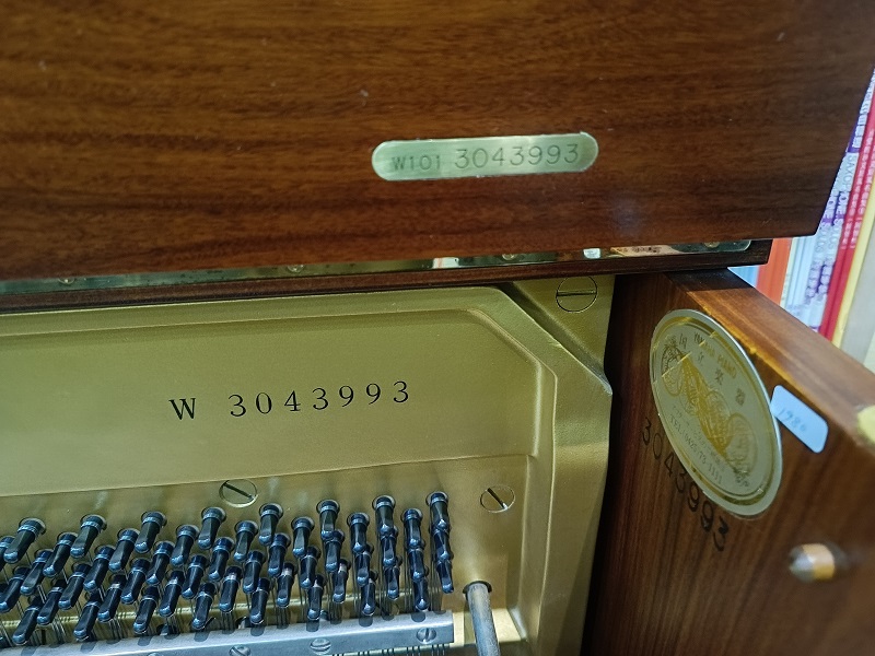 日本原裝YAMAH W101 5