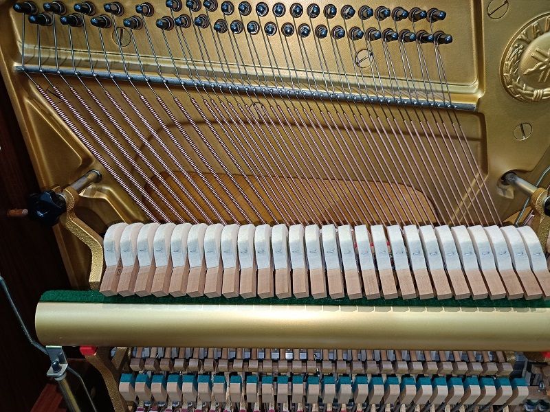 日本原裝YAMAH W101 3