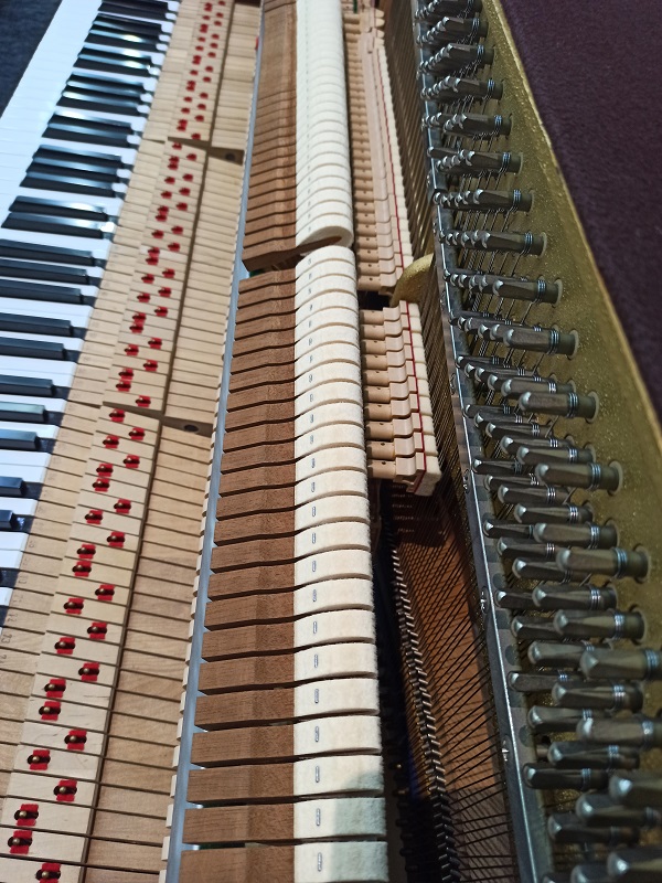 原裝 KAWAI KL-51KF 歐式鋼琴 4