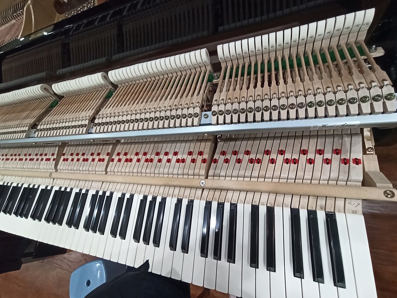 KAWAI KG-1N 3
