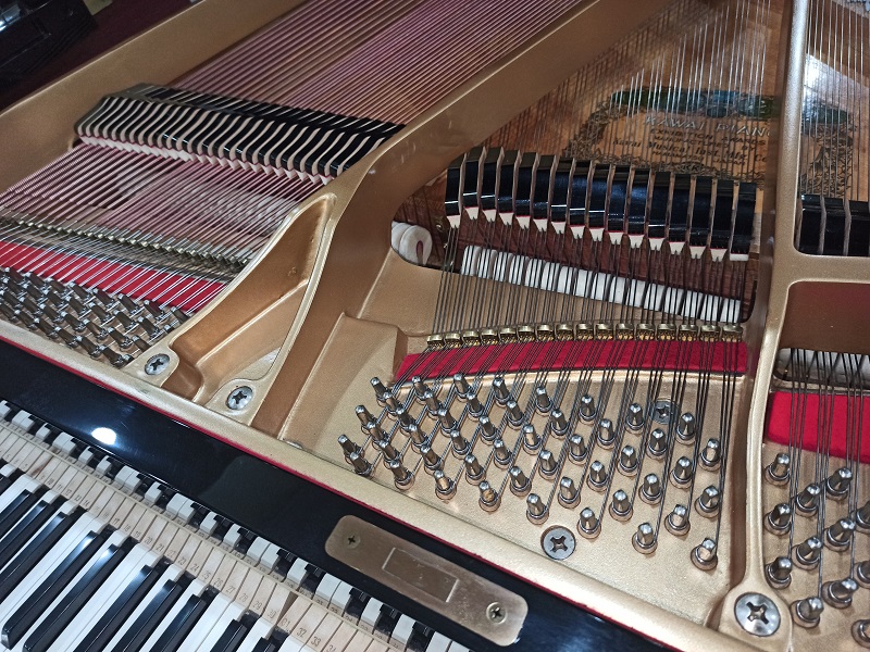 KAWAI KG-1N 4