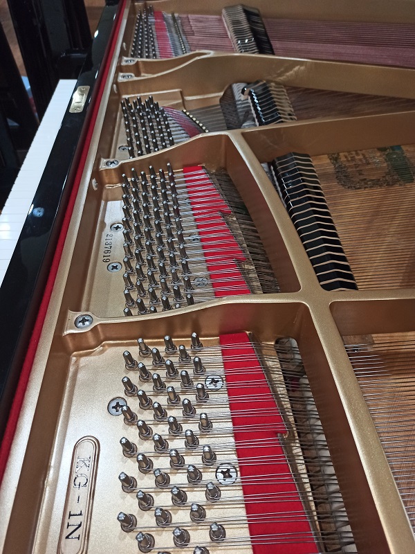 KAWAI KG-1N 2