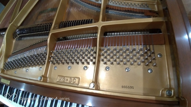 KAWAI KG-3C 稀有原木色 3