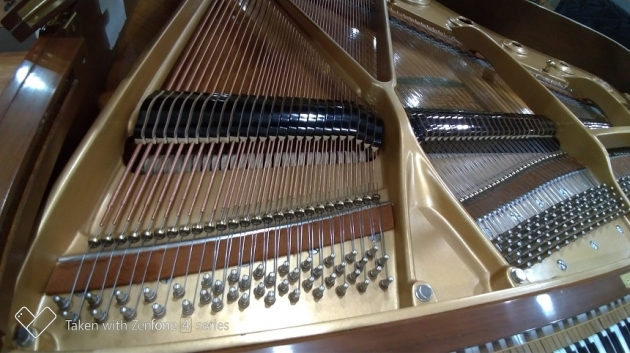 KAWAI KG-3C 稀有原木色 4