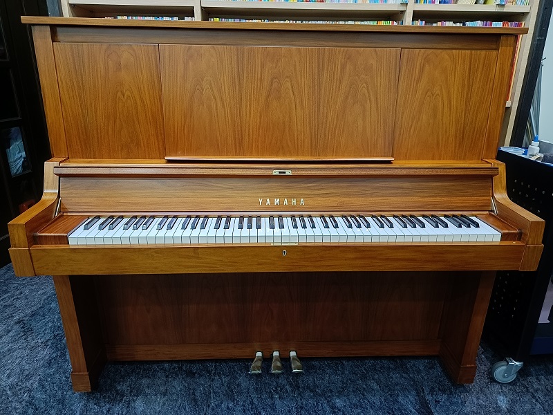 日本原裝YAMAHA W101B