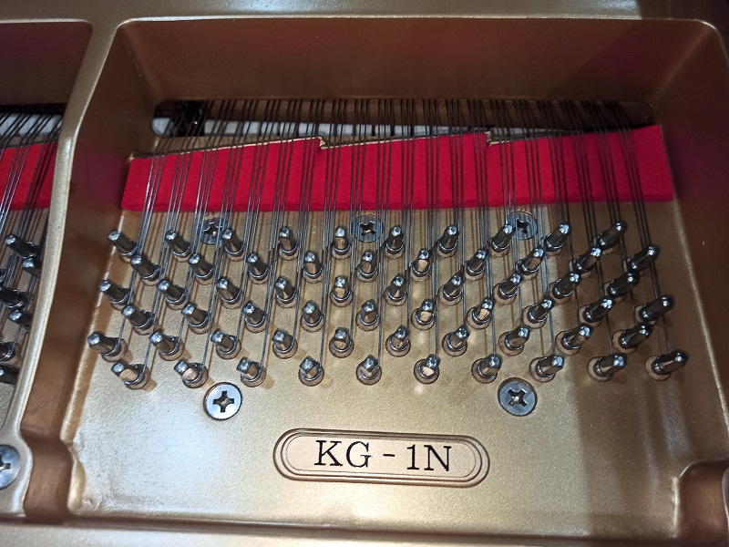KAWAI KG-1N